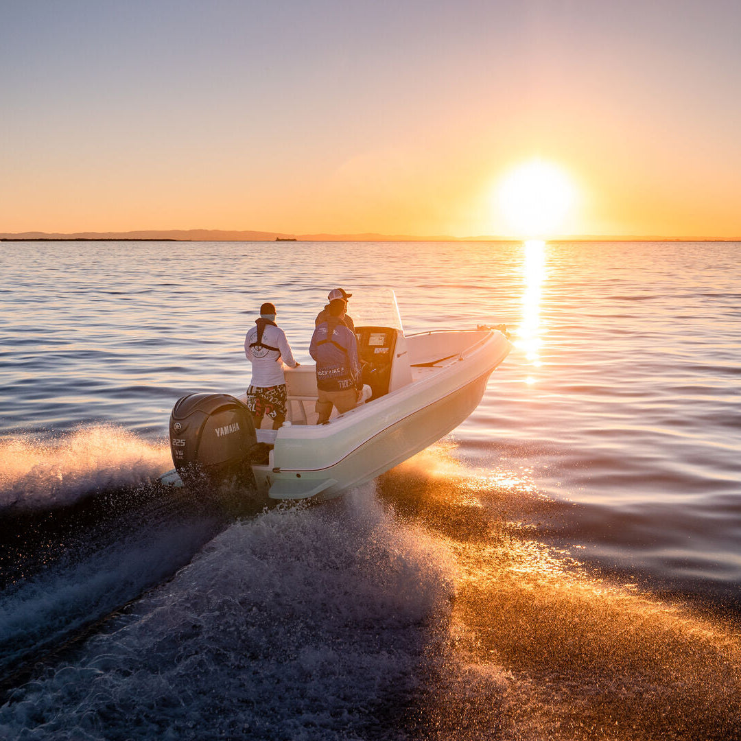 Yamaha F225